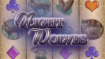night wolves